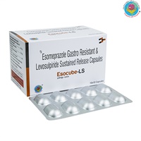 Esocube-LS