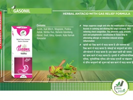 Gasonil