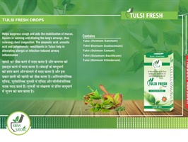Tulsi Fresh