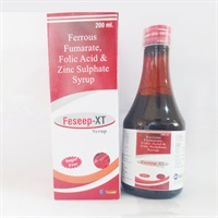 FESEEP-XT